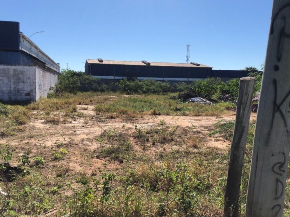 Terreno, 5000 m² - Foto 6