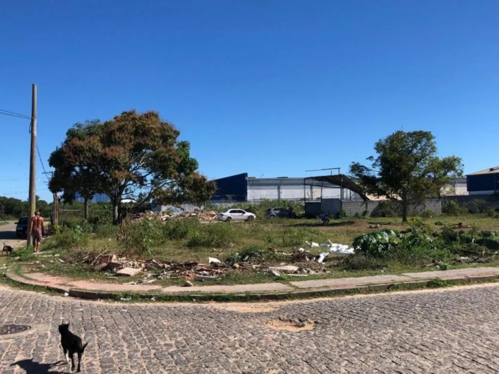 Terreno, 5000 m² - Foto 5