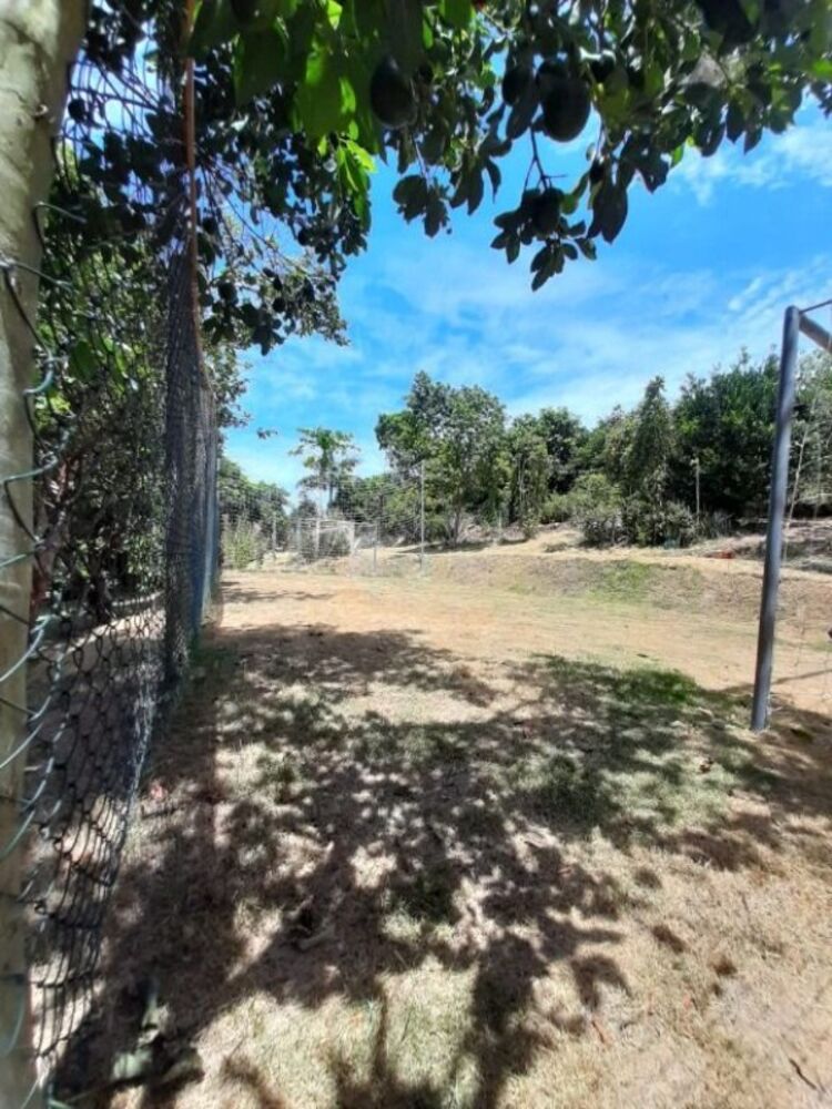 Chácara, 8 quartos, 4000 m² - Foto 28