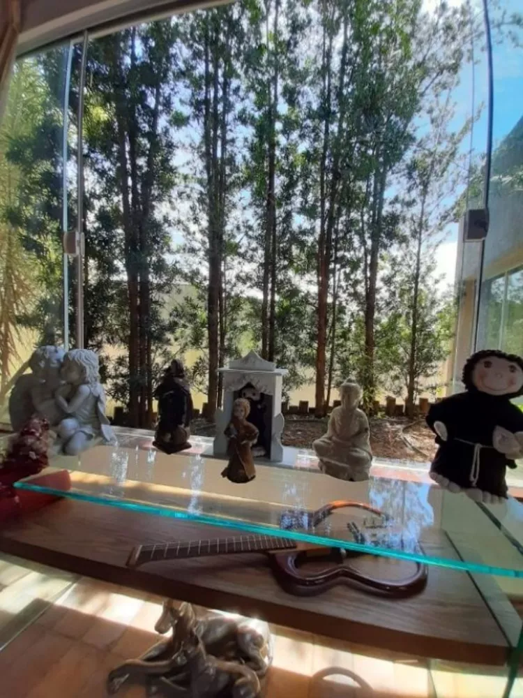 Chácara, 8 quartos, 4000 m² - Foto 14