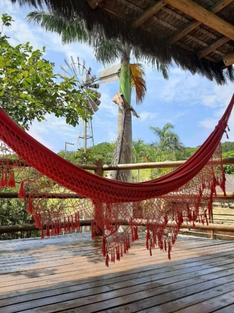 Chácara, 8 quartos, 4000 m² - Foto 23