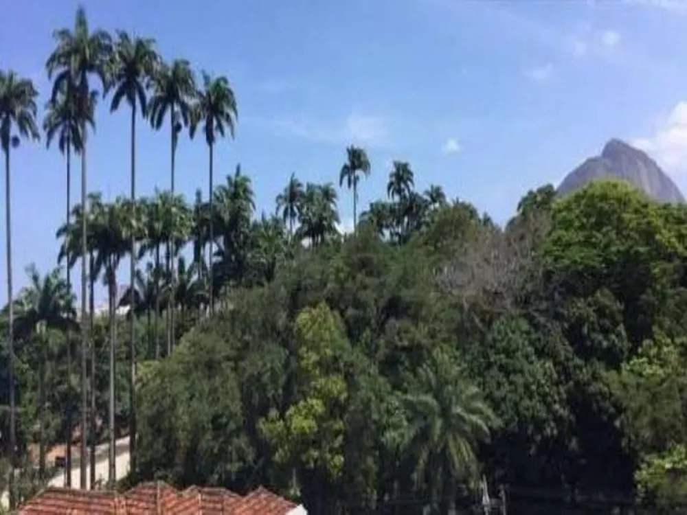 Apartamento, 3 quartos - Foto 36