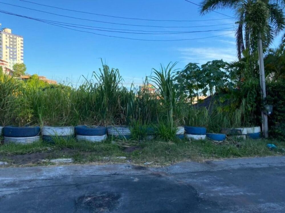 Terreno à venda, 1000m² - Foto 2
