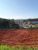 Terreno, 2400 m² - Foto 3