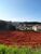 Terreno, 2400 m² - Foto 4