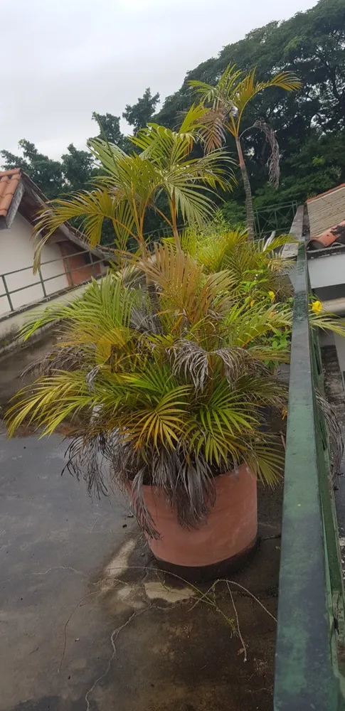 Prédio Inteiro, 450 m² - Foto 10