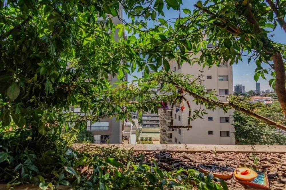 Apartamento, 3 quartos, 260 m² - Foto 12
