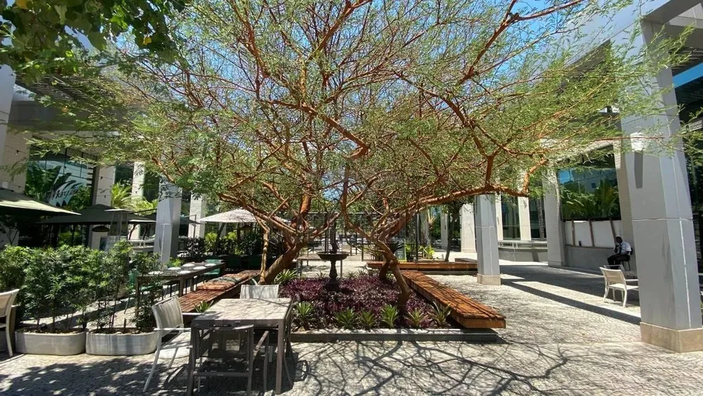 Loja-Salão, 32 m² - Foto 9