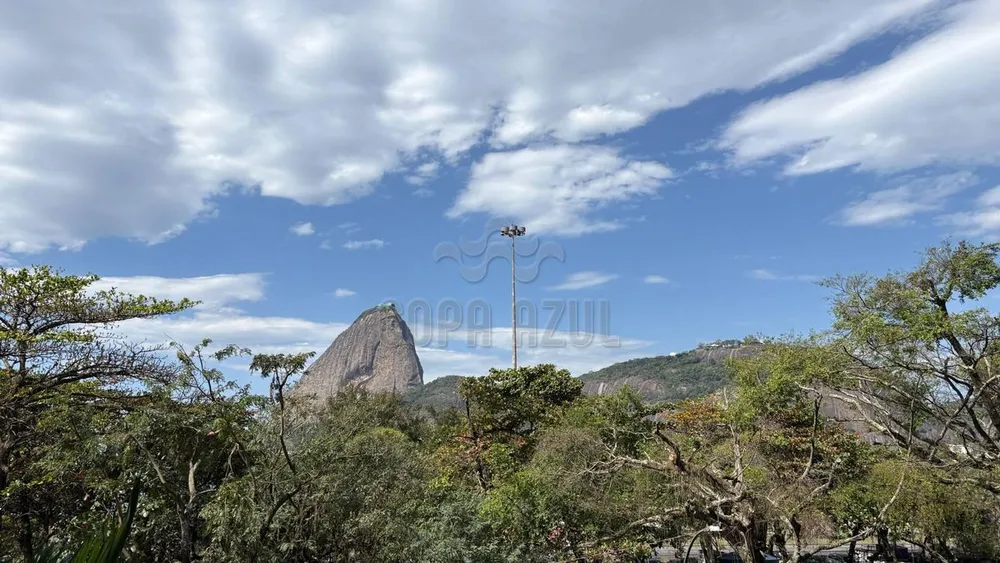 Apartamento, 4 quartos, 525 m² - Foto 3