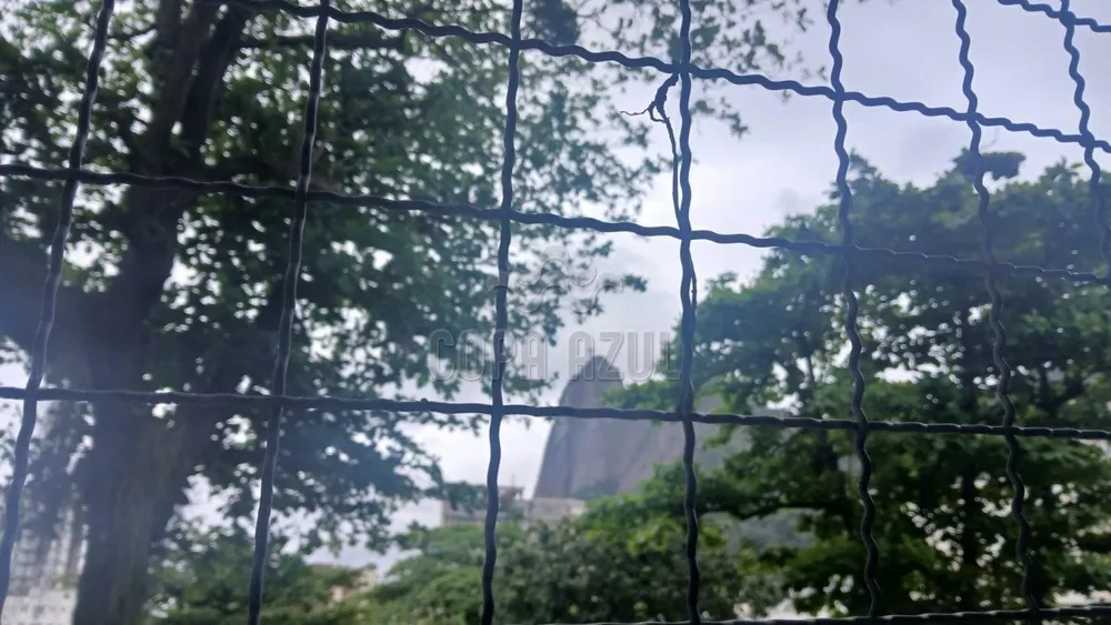 Casa, 8 quartos, 337 m² - Foto 1