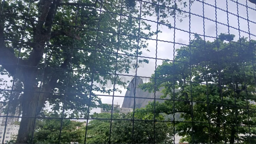 Casa, 8 quartos, 337 m² - Foto 52