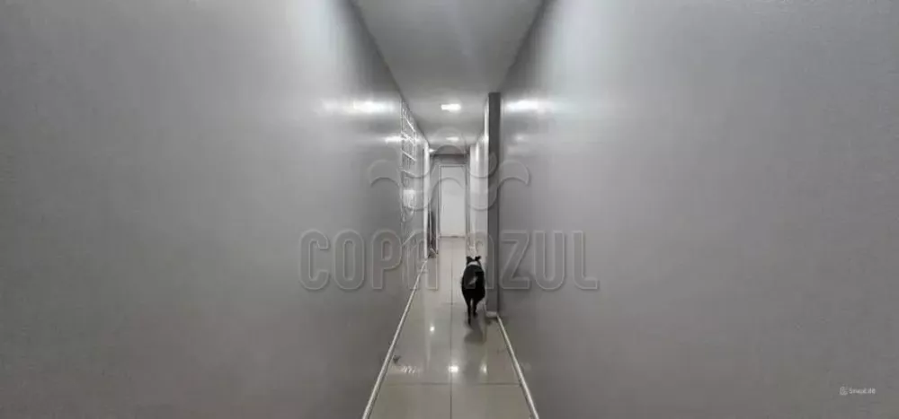 Apartamento, 5 quartos, 209 m² - Foto 28