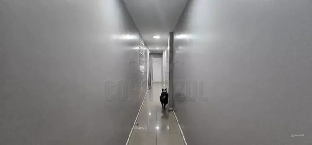 Apartamento, 5 quartos, 209 m² - Foto 15