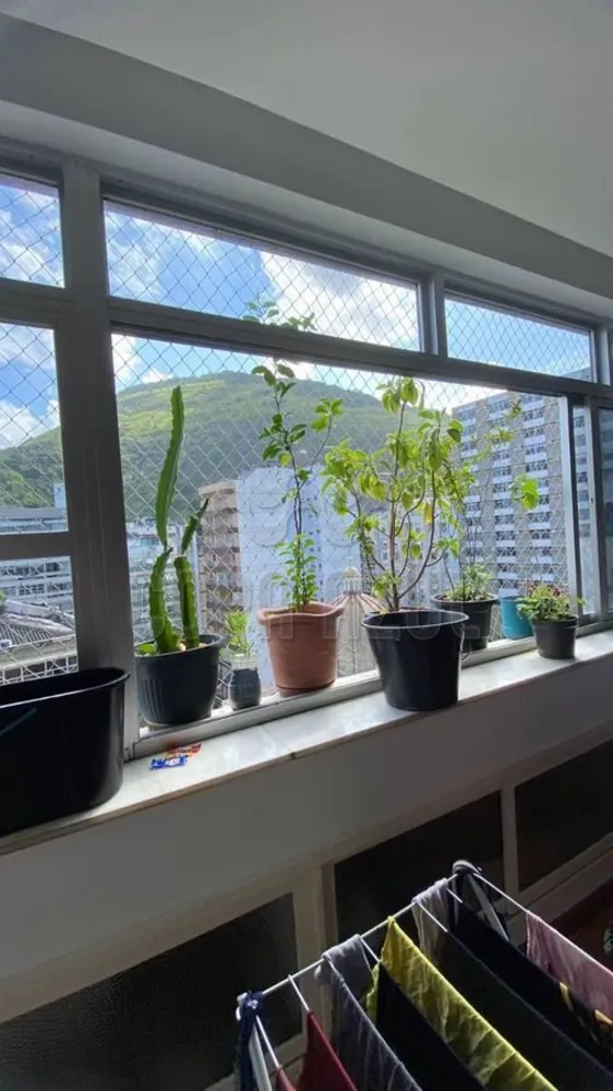 Apartamento, 3 quartos, 115 m² - Foto 31