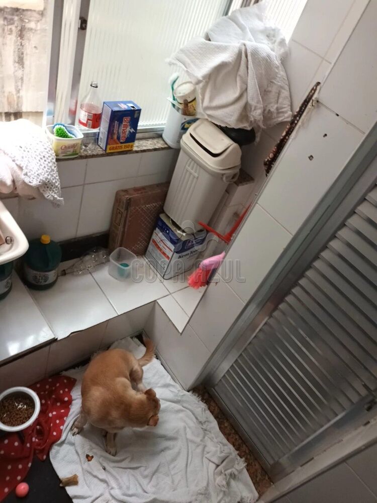 Apartamento à venda com 2 quartos, 90m² - Foto 17