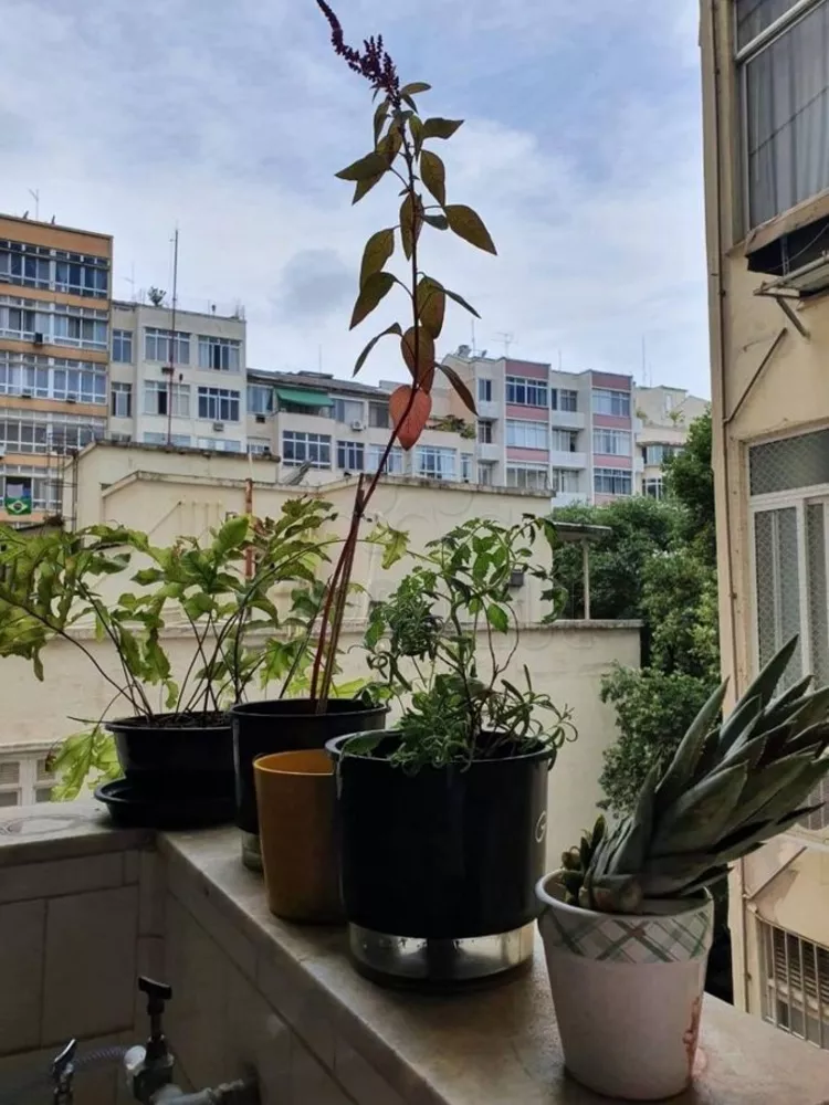 Apartamento, 3 quartos, 95 m² - Foto 35