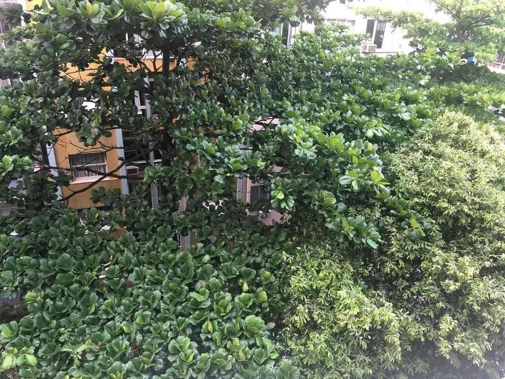 Apartamento, 4 quartos, 215 m² - Foto 17