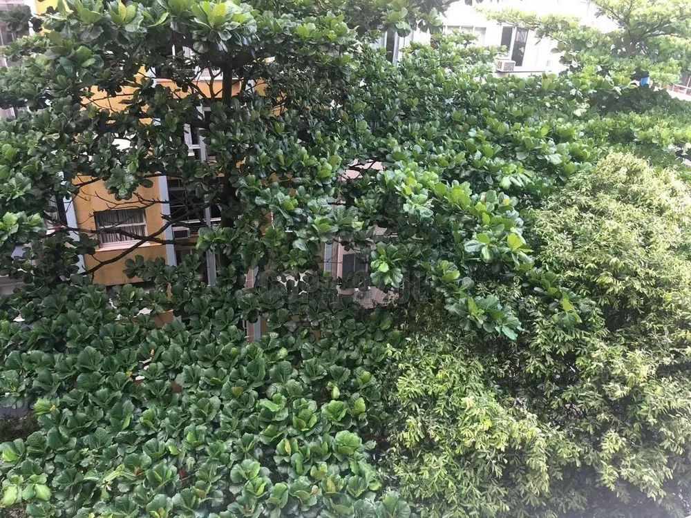 Apartamento, 4 quartos, 215 m² - Foto 90