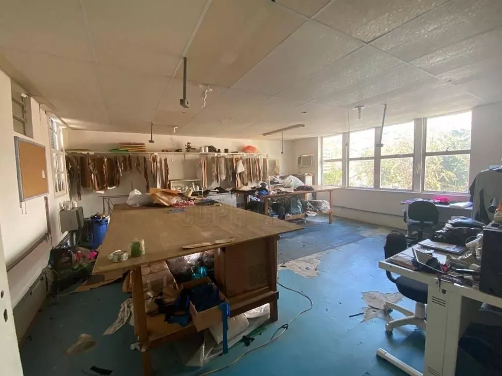 Casa, 4 quartos, 320 m² - Foto 5