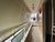 Apartamento, 2 quartos, 64 m² - Foto 1