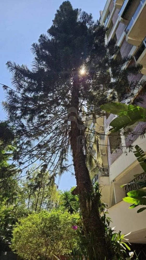 Apartamento, 1 quarto, 86 m² - Foto 24
