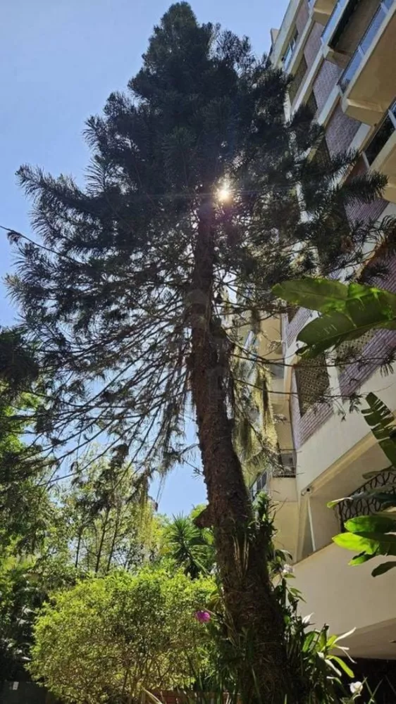 Apartamento, 1 quarto, 86 m² - Foto 7