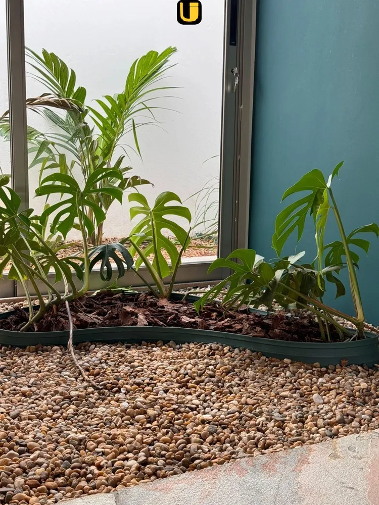 Casa, 5 quartos, 400 m² - Foto 4