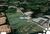 Terreno, 3 hectares - Foto 1