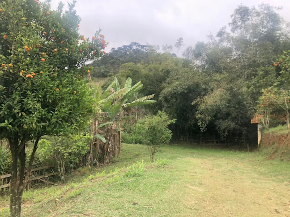 Chácara, 3 quartos, 2 hectares - Foto 14