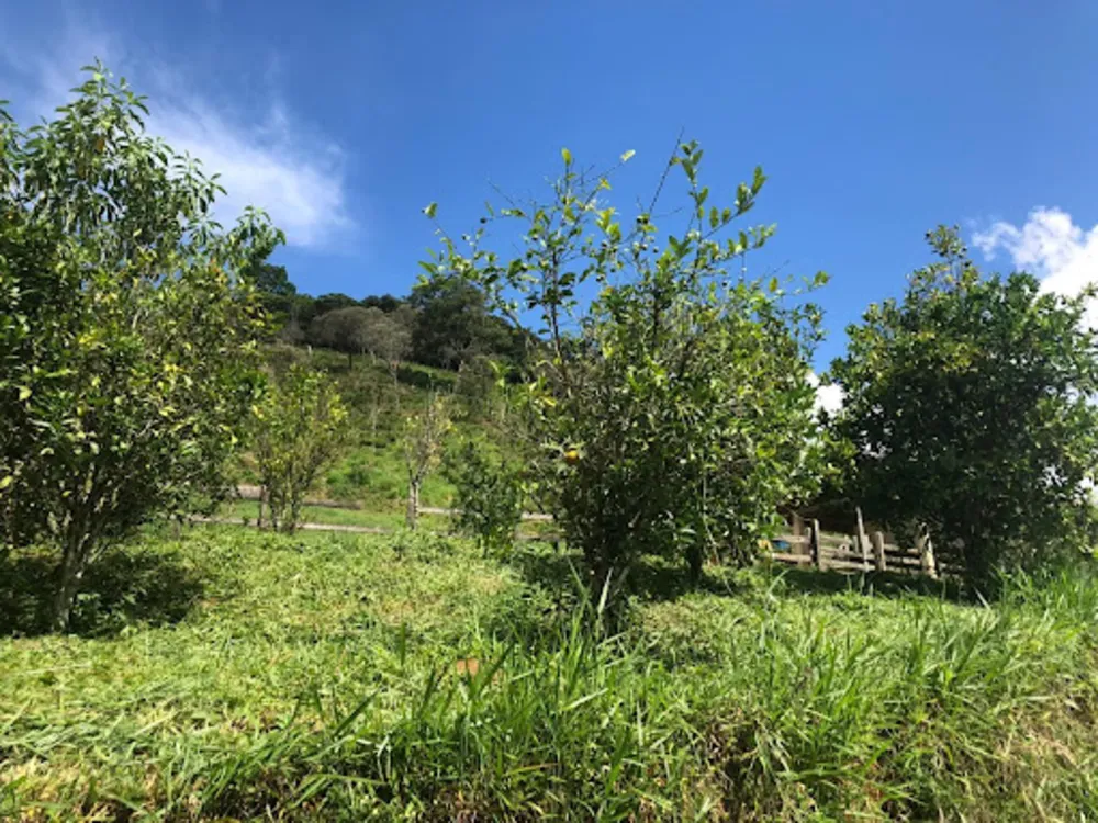 Chácara, 3 quartos, 2 hectares - Foto 8