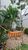 Apartamento, 3 quartos, 100 m² - Foto 7