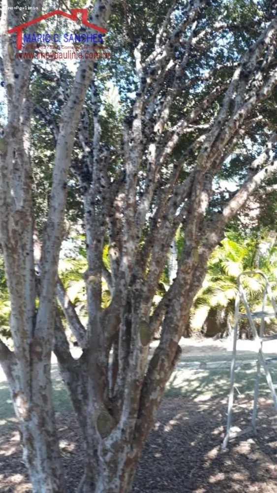 Chácara, 3 quartos, 2000 m² - Foto 18