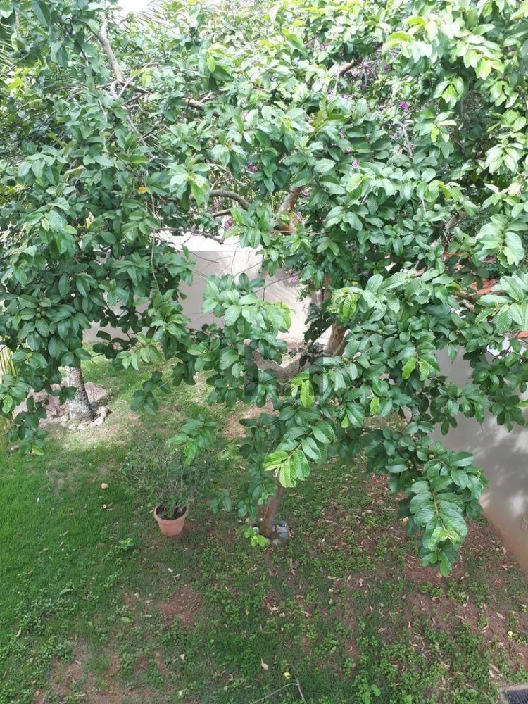 Casa, 4 quartos, 200 m² - Foto 5