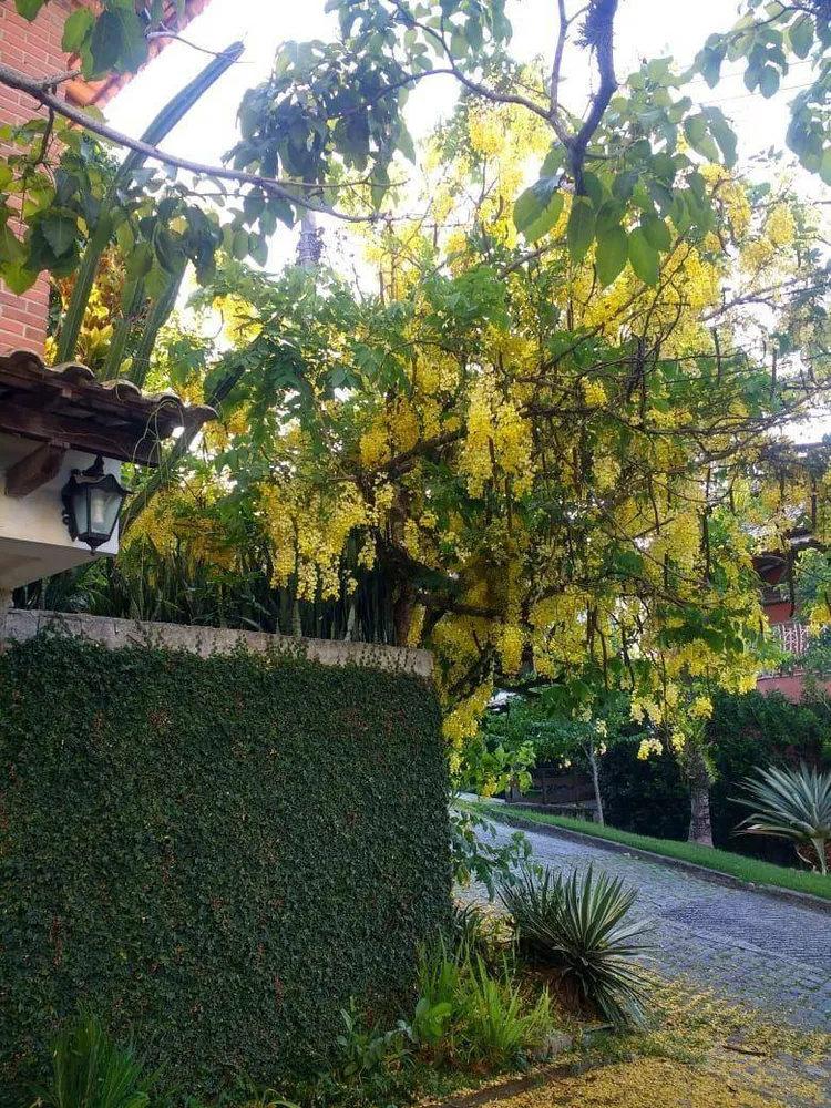 Casa, 3 quartos, 210 m² - Foto 8