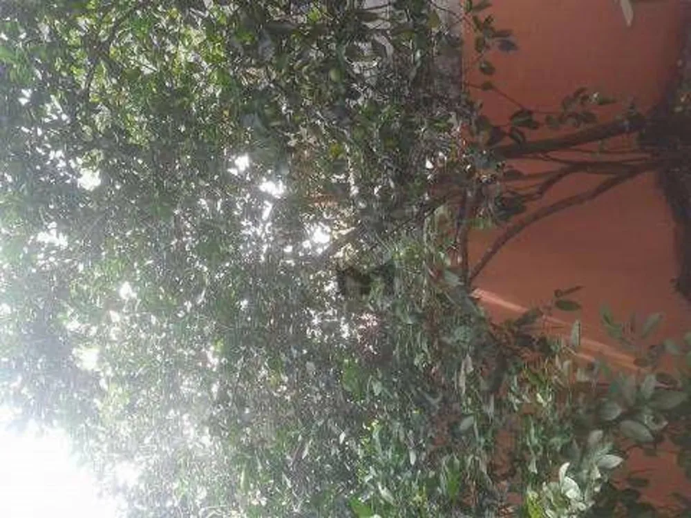 Casa, 3 quartos, 200 m² - Foto 10