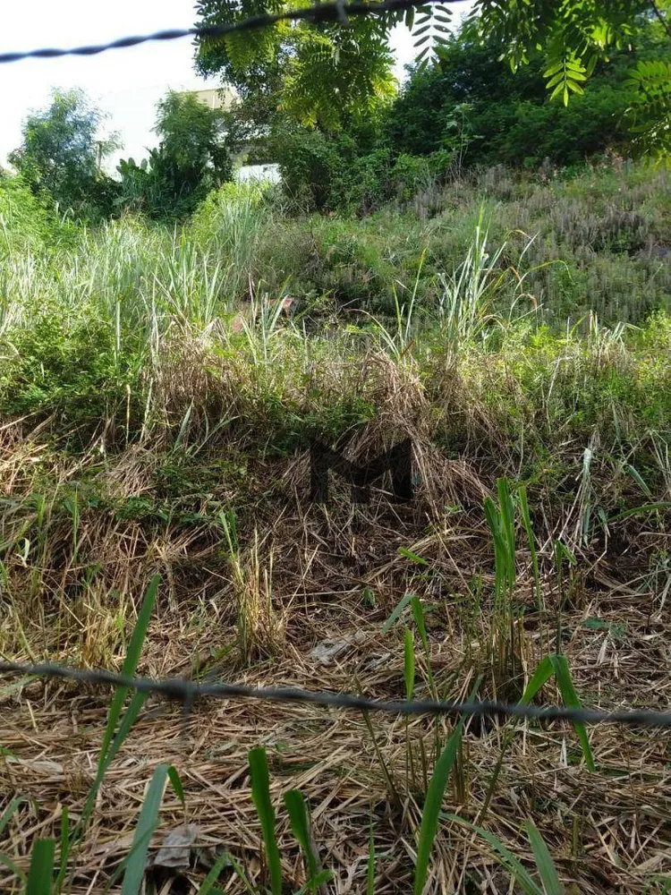 Terreno, 450 m² - Foto 11