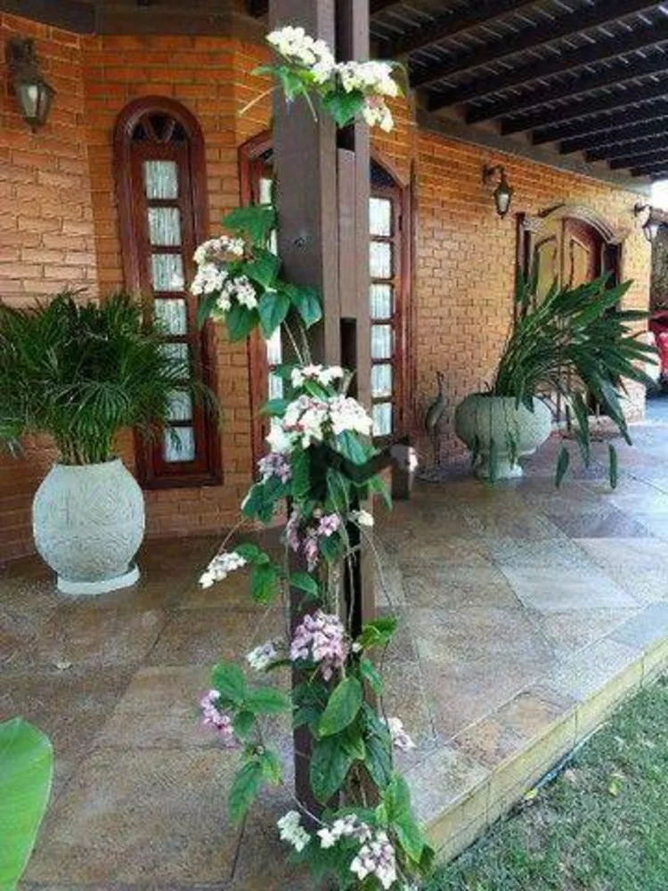 Casa, 4 quartos, 500 m² - Foto 3