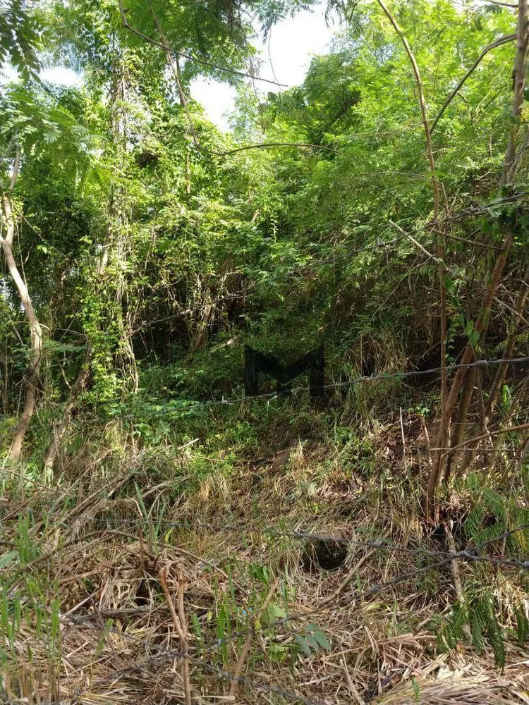 Terreno, 450 m² - Foto 8