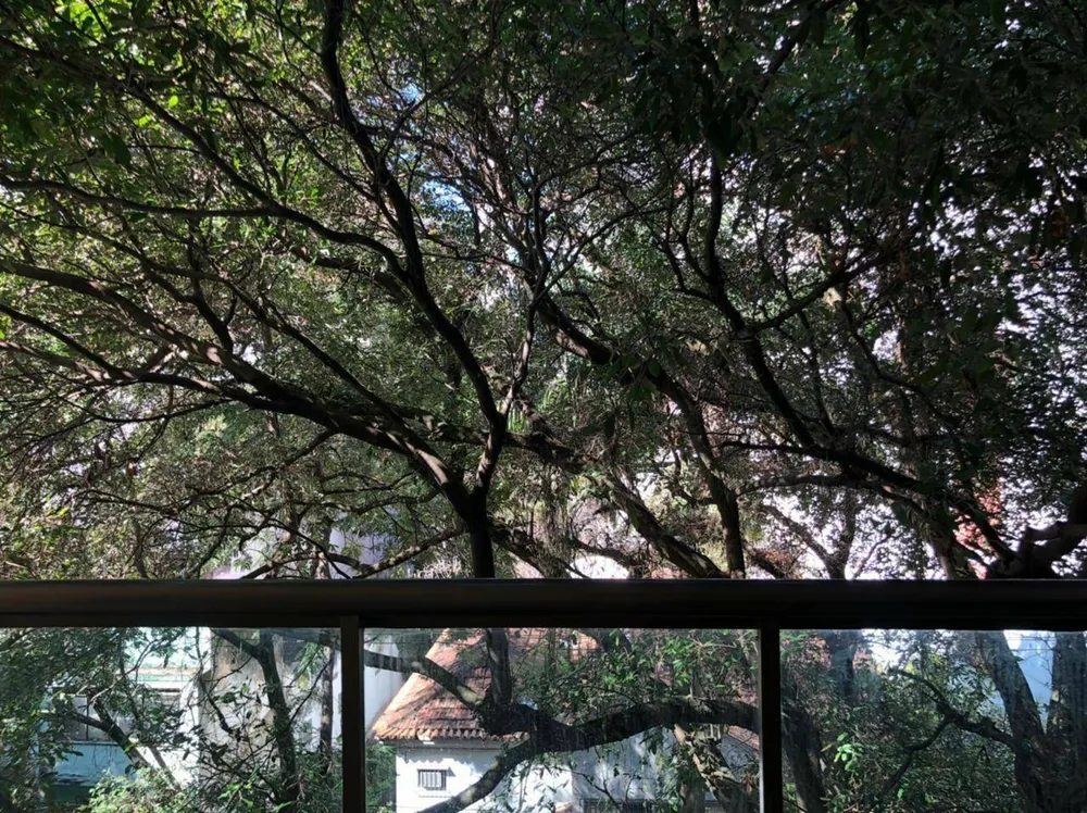 Apartamento, 4 quartos, 160 m² - Foto 19