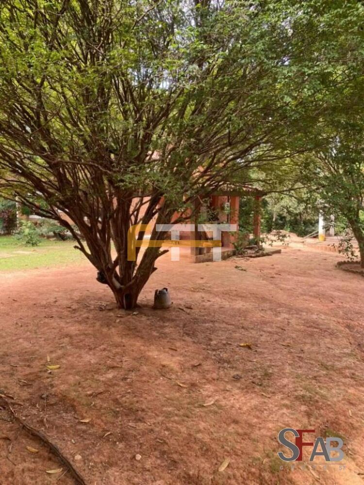 Casa, 4 quartos, 514 m² - Foto 11