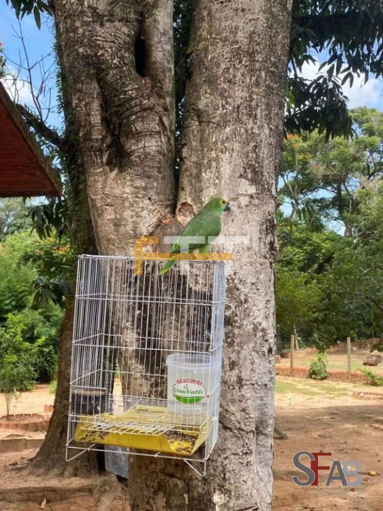 Casa, 4 quartos, 514 m² - Foto 10