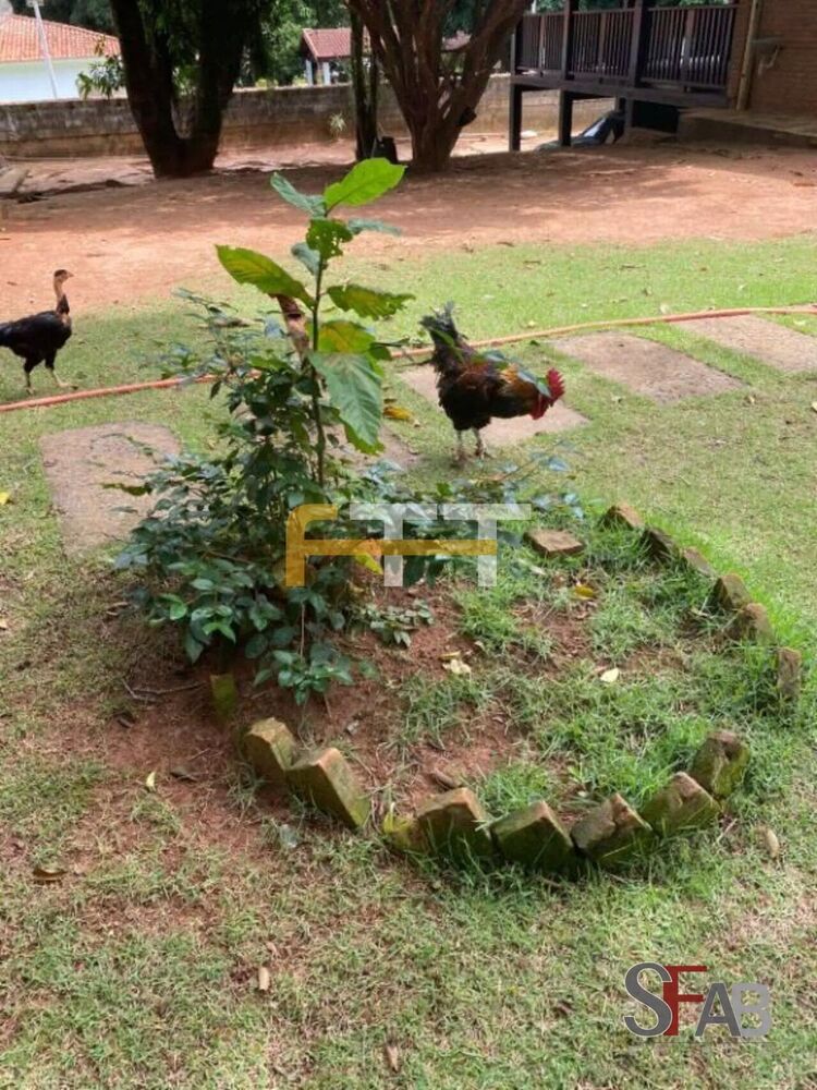 Casa, 4 quartos, 514 m² - Foto 12