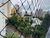 Apartamento, 3 quartos, 124 m² - Foto 24