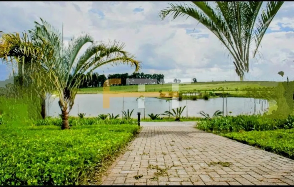 Terreno, 1207 m² - Foto 4