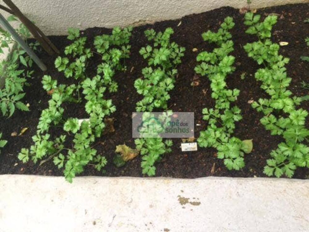 Apartamento, 3 quartos, 100 m² - Foto 2