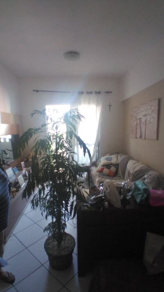 Apartamento, 3 quartos, 80 m² - Foto 2