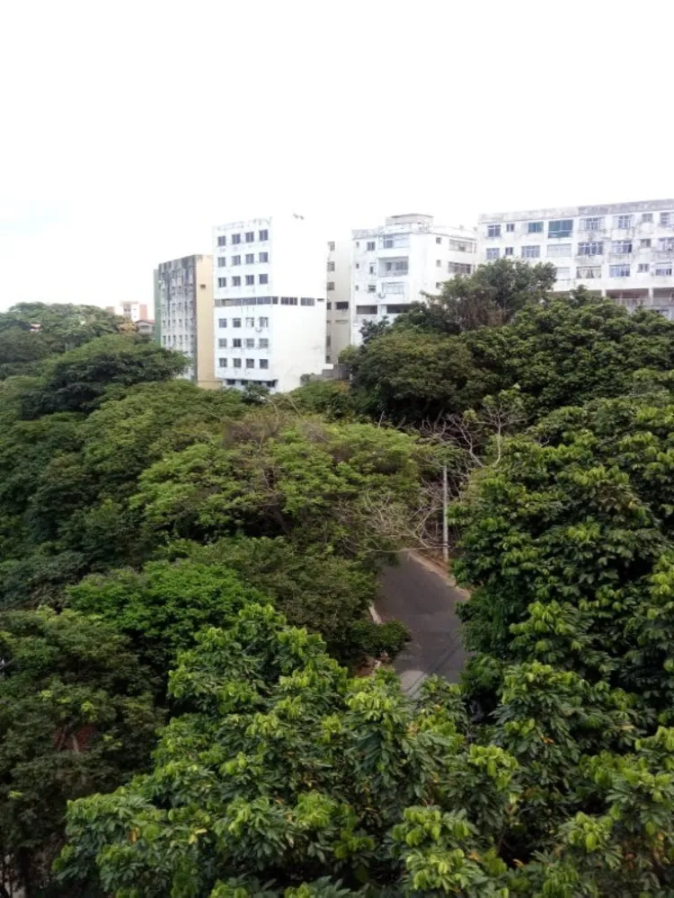 Apartamento, 2 quartos, 70 m² - Foto 11