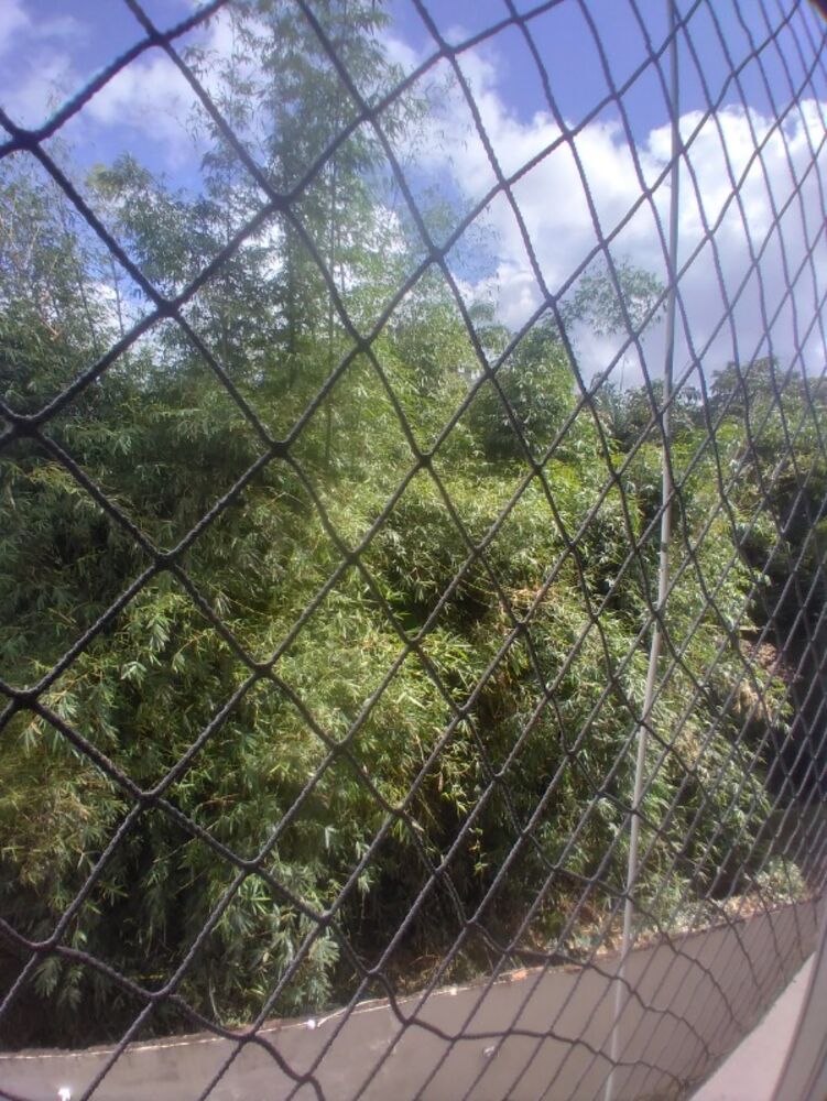 Apartamento, 2 quartos, 800 m² - Foto 12