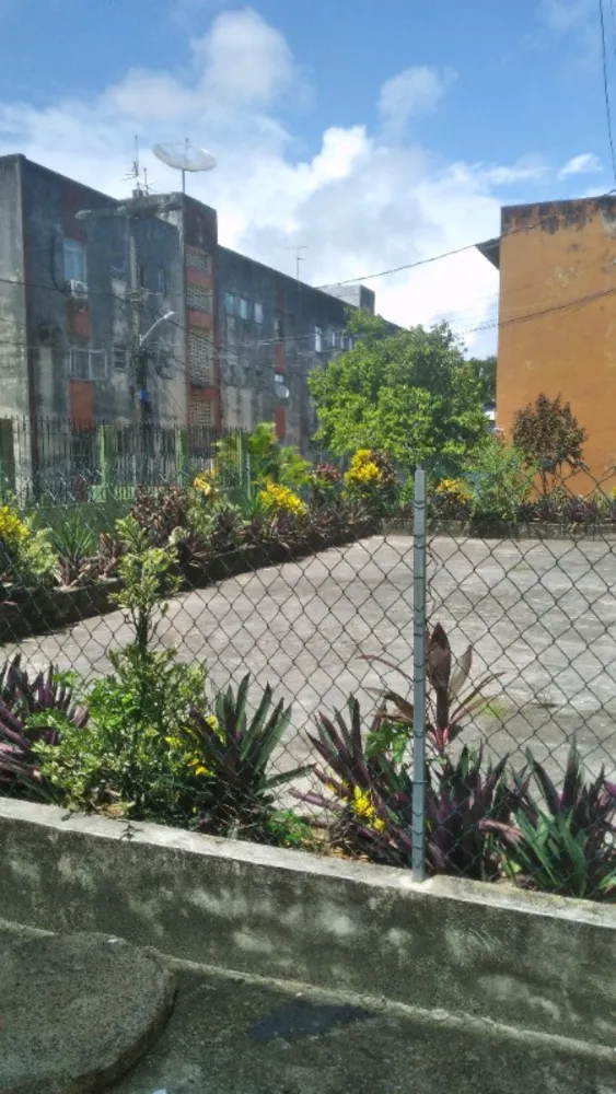 Apartamento, 3 quartos, 65 m² - Foto 12