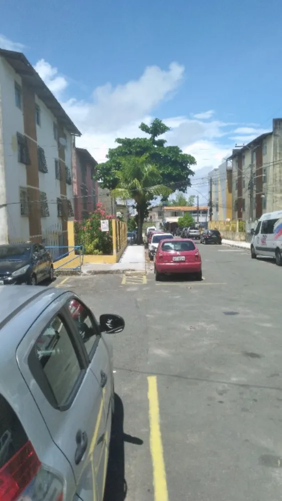 Apartamento, 3 quartos, 65 m² - Foto 10